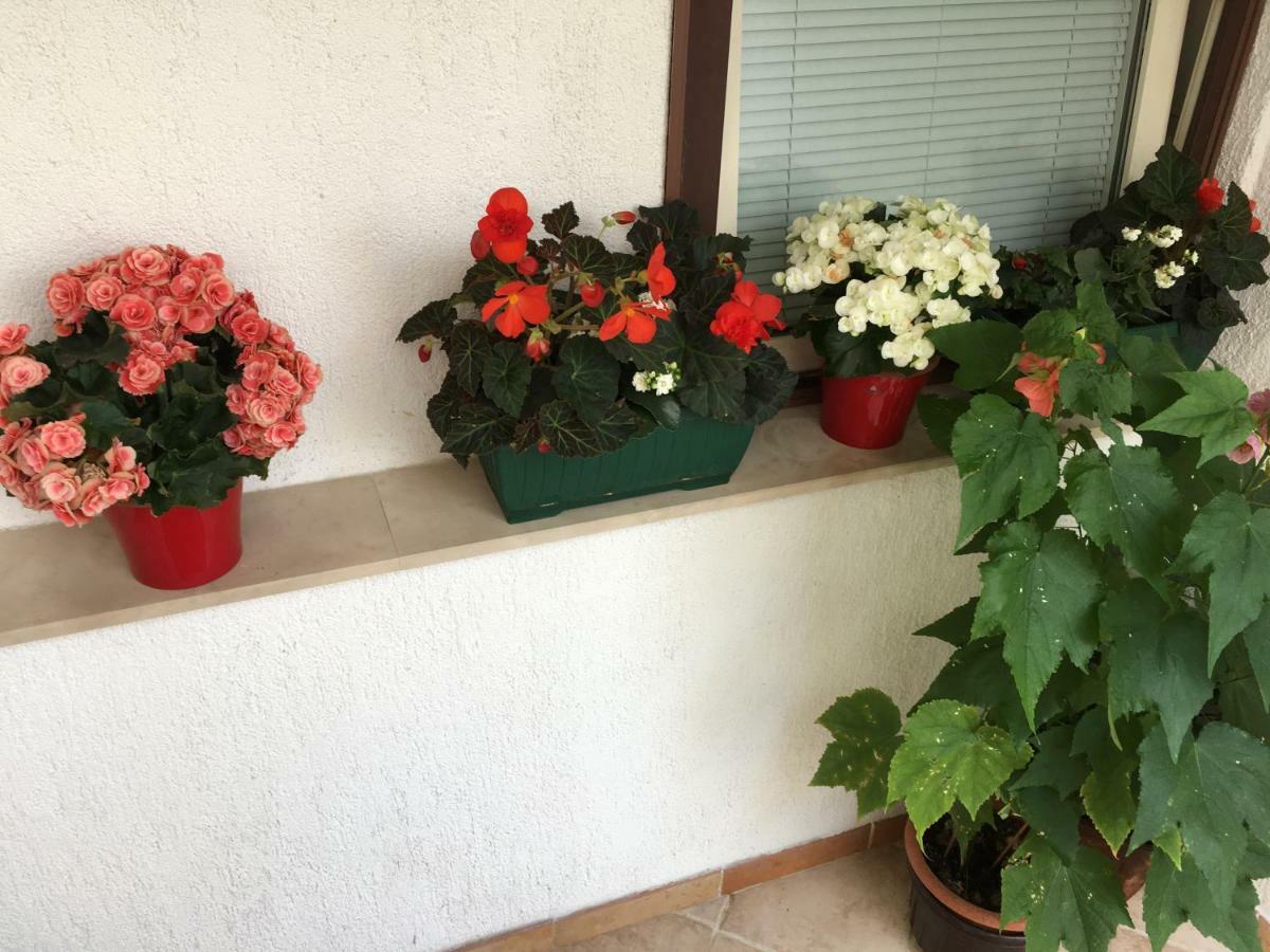 Apartment Lucija Novi Vinodolski Dış mekan fotoğraf