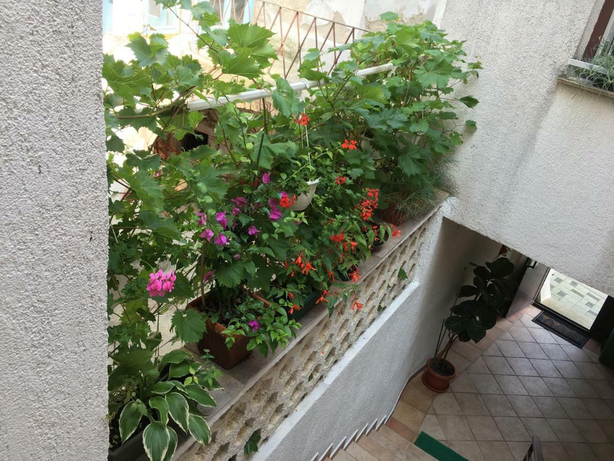 Apartment Lucija Novi Vinodolski Dış mekan fotoğraf
