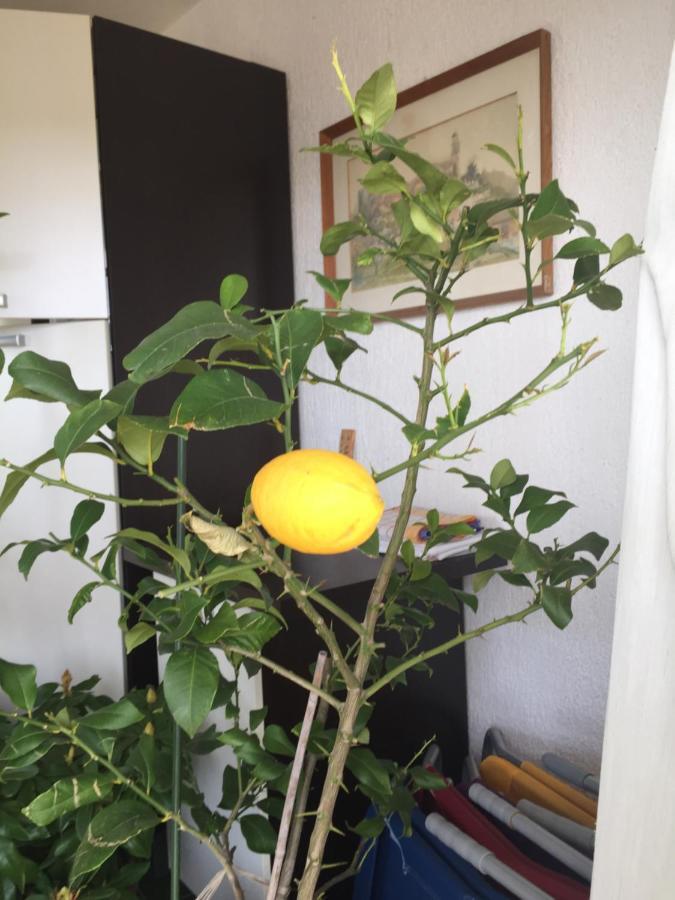 Apartment Lucija Novi Vinodolski Dış mekan fotoğraf